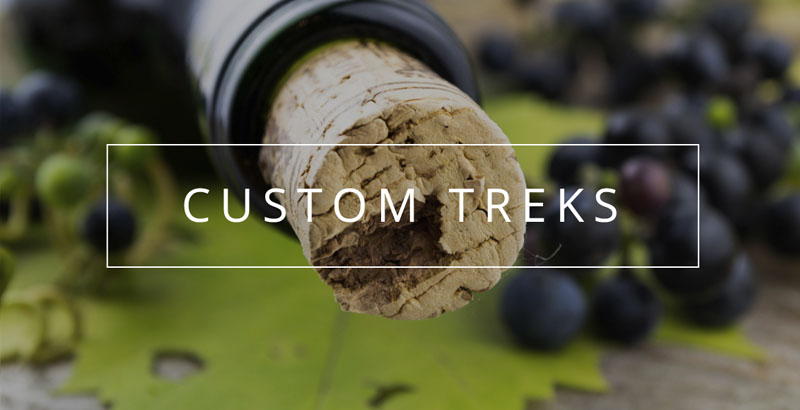 Custom Treks