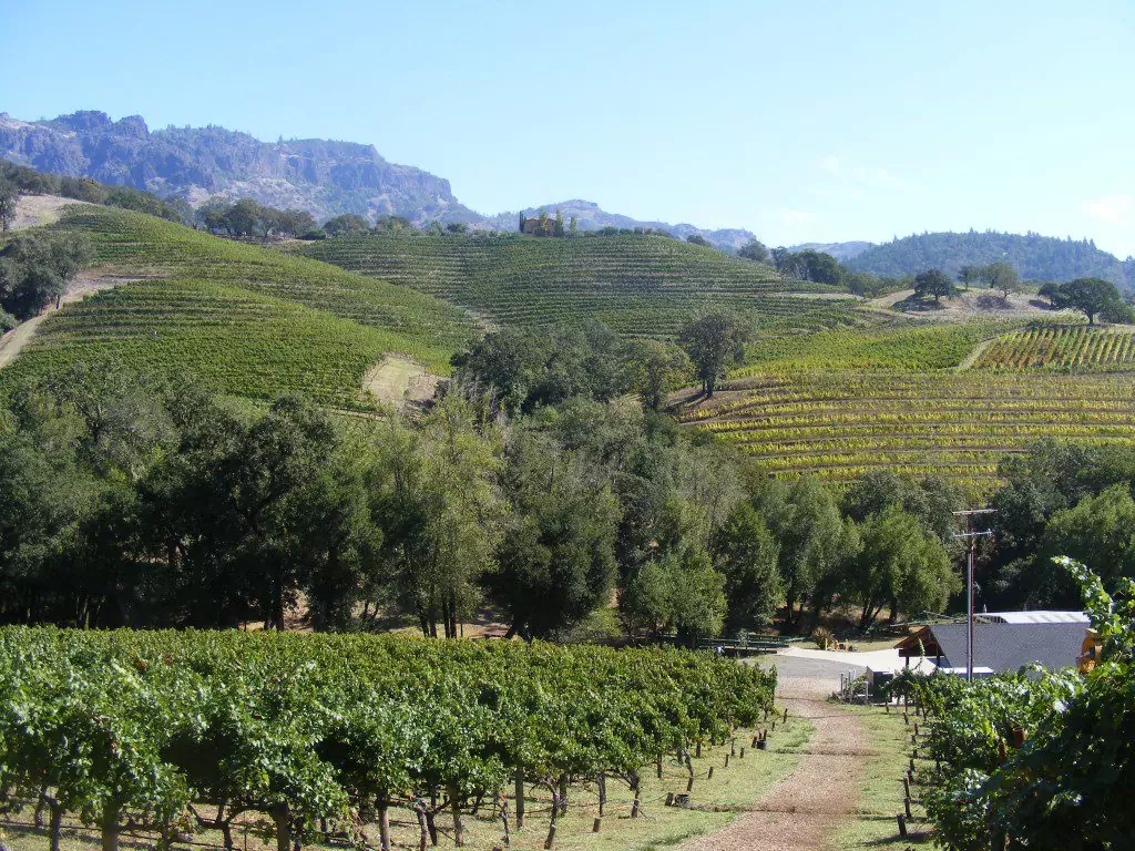 View of vineyards and rolling hills in Kenwood, CA