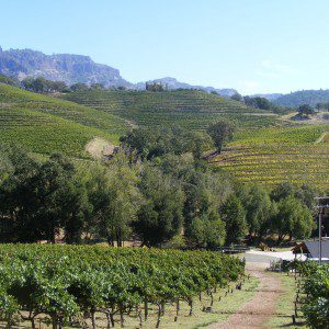 View of vineyards and rolling hills in Kenwood, CA