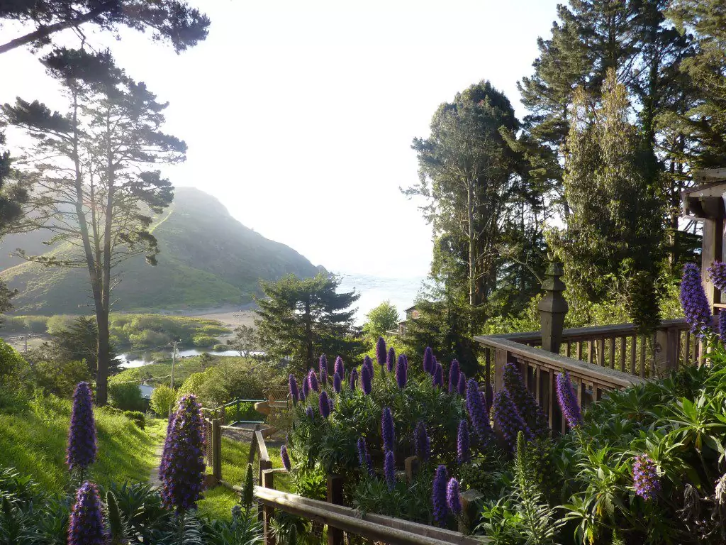 View of San Francisco from Muir Beach