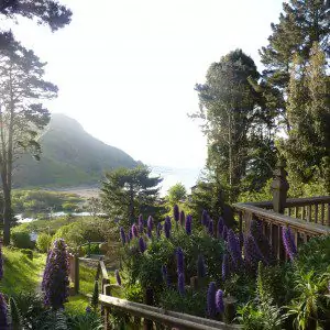 View of San Francisco from Muir Beach
